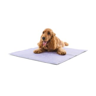 https://assets.kmart.com.au/transform/ba73e27a-8390-483b-af36-ab69f155725b/43554669-1 - Purchase from an Australian pet store near you